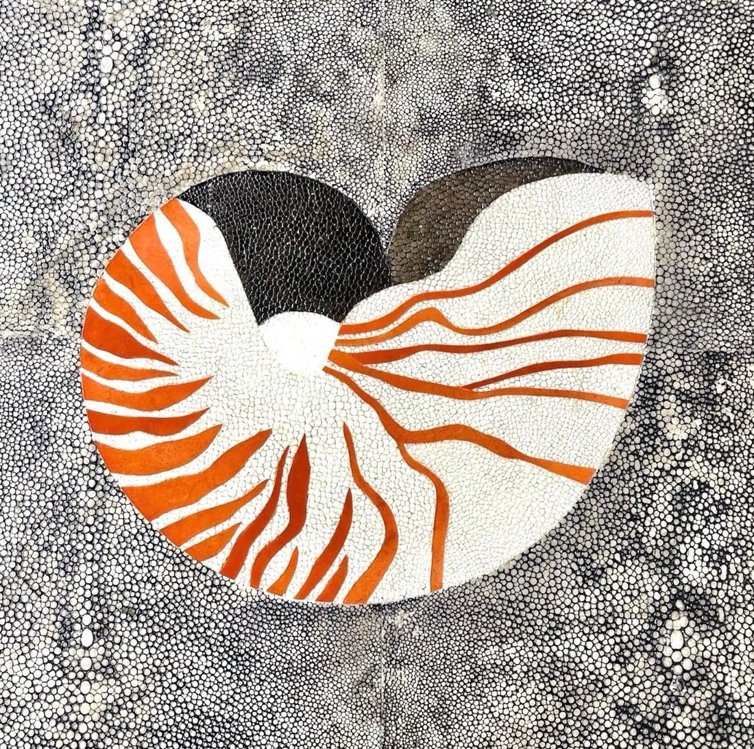 R & Y Augousti Nautilus Shell Large Tray - 3