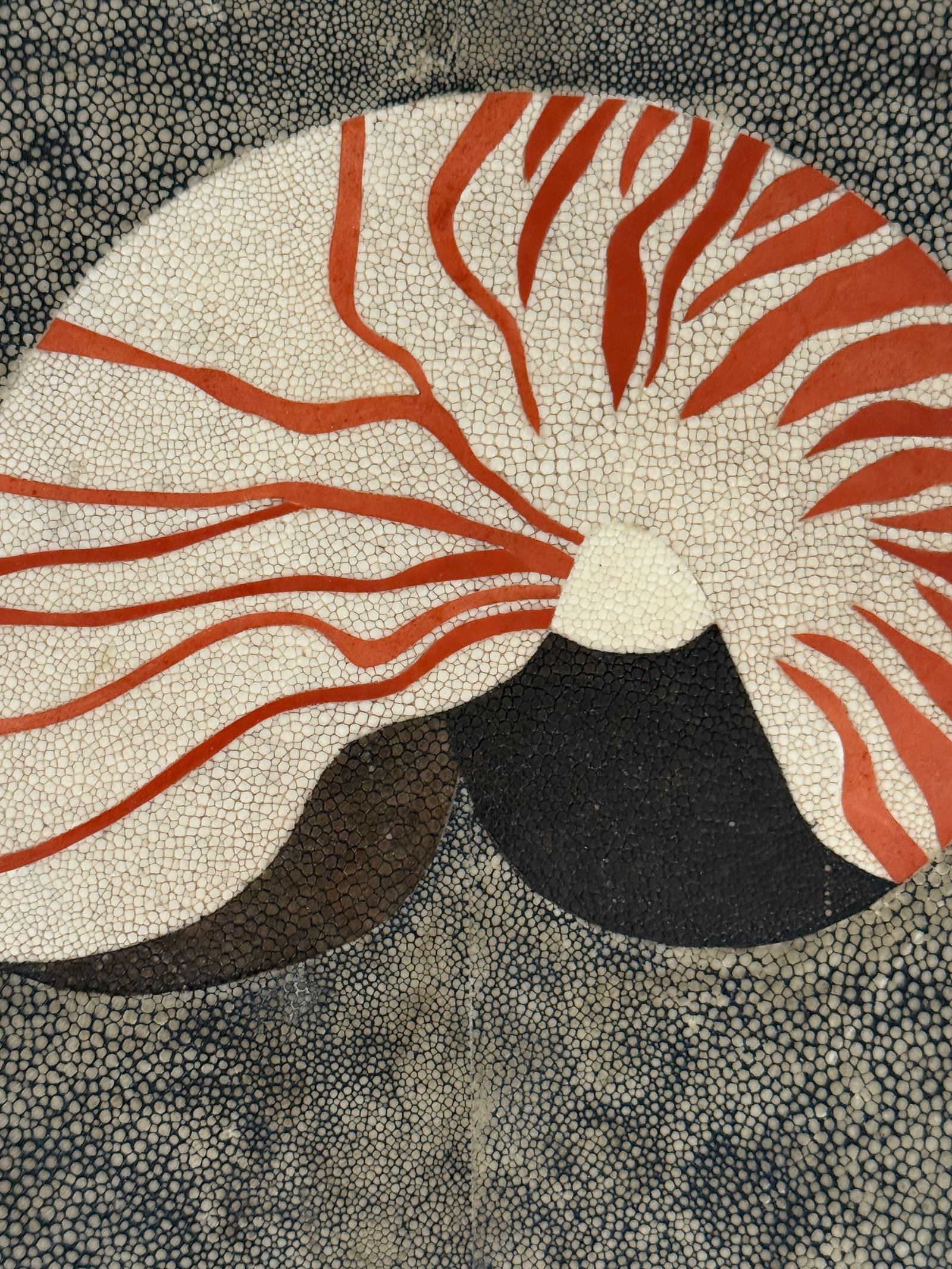 R & Y Augousti Nautilus Shell Large Tray - 7