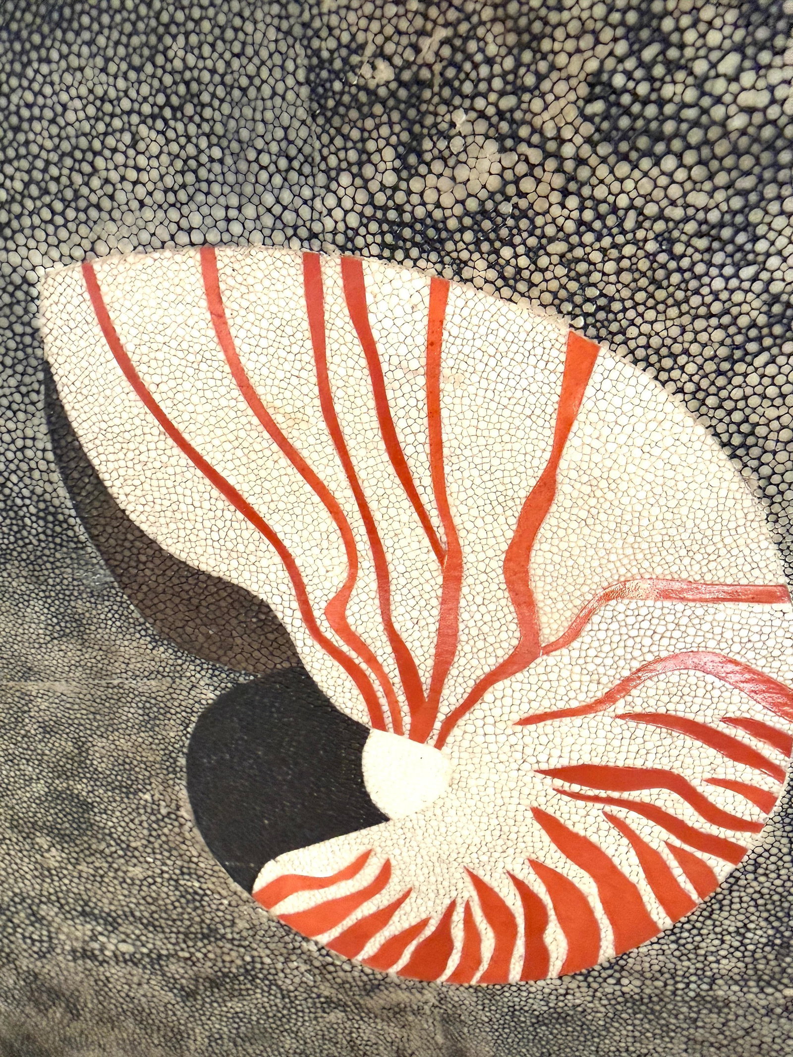 R & Y Augousti Nautilus Shell Large Tray - 8