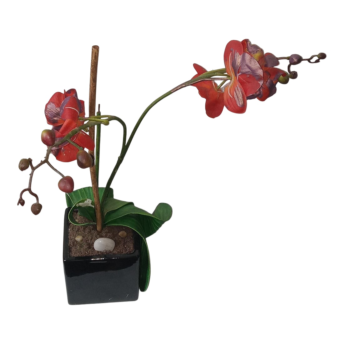 Modern Artisanal Botanical Sculpture Suitable for the Executive Suite: A study in vivid color and structural grace, this architectural orchid composition redefines the modern workspace through a lens of curated artistry. This piece is anchored in a heavy shiny black