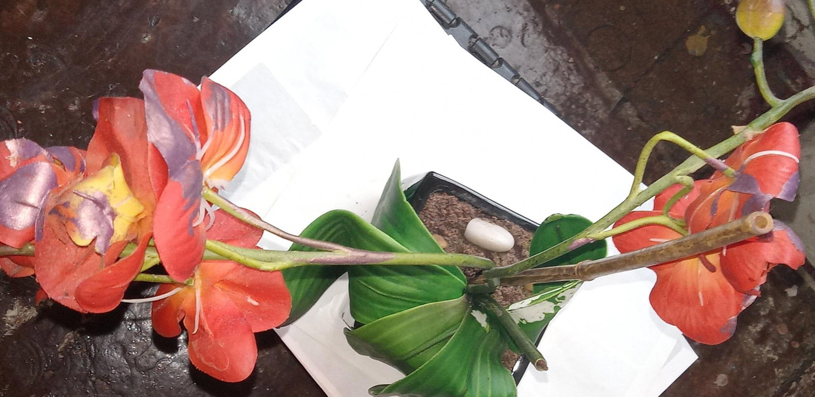 Modern Artisanal Botanical Sculpture Suitable for the Executive Suite - 2