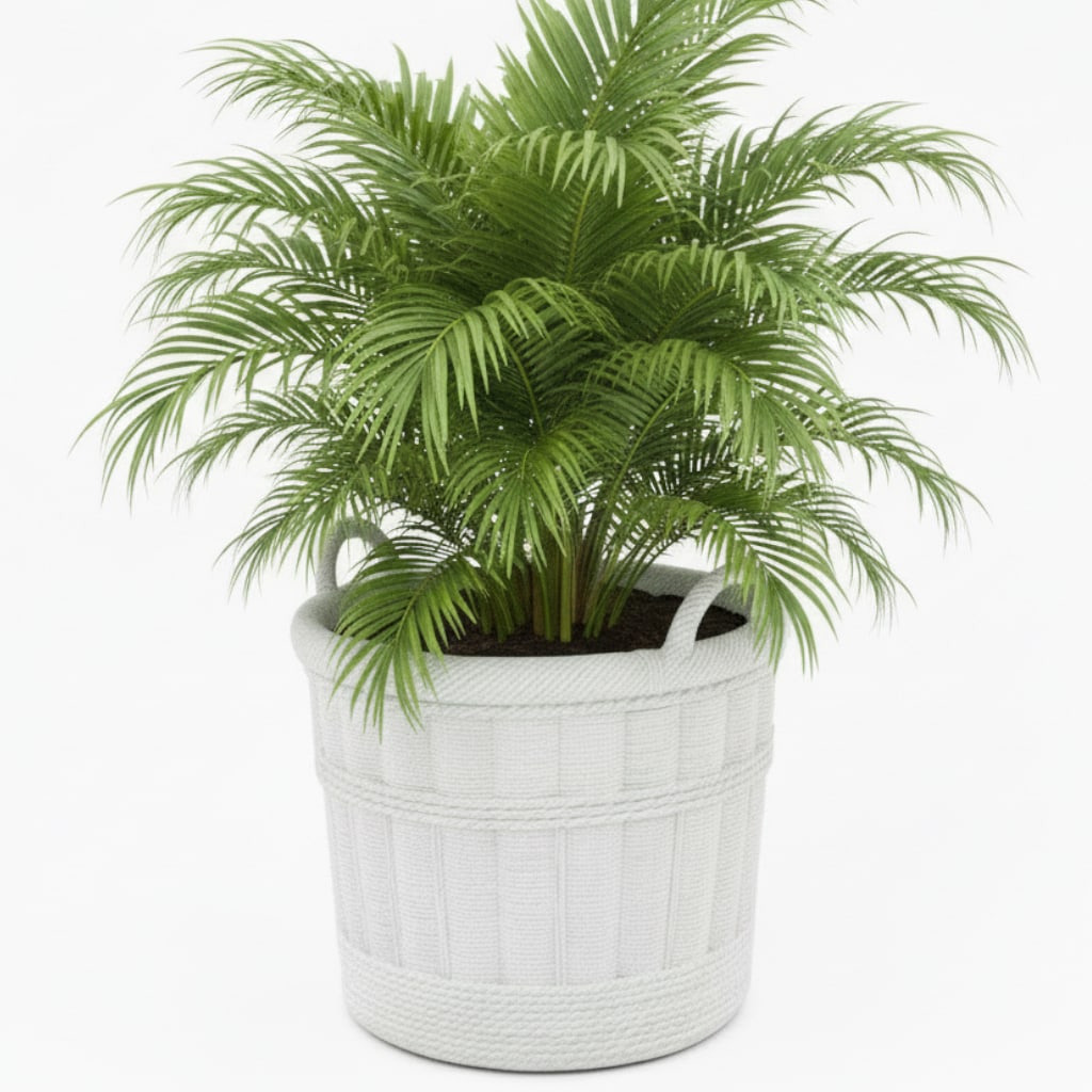 Large Pale Gray Cement Planter in the Shape of a Double Handled Wicker Gathering Basket - 6