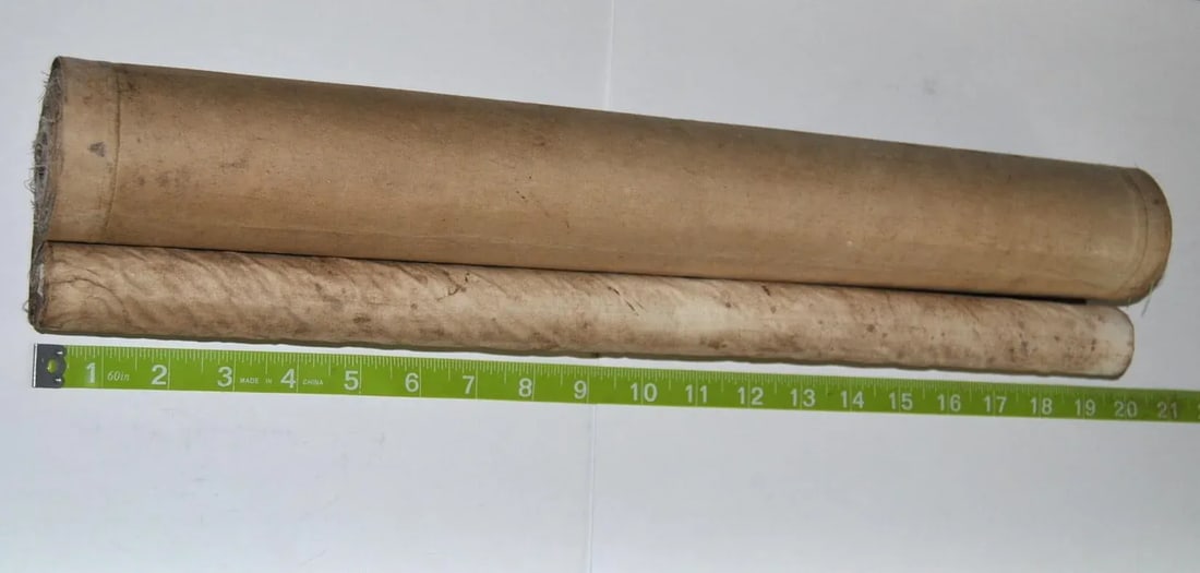 Antique Japanese Handscroll Emaki Kano School Birds and Trees of Summer Season - 9