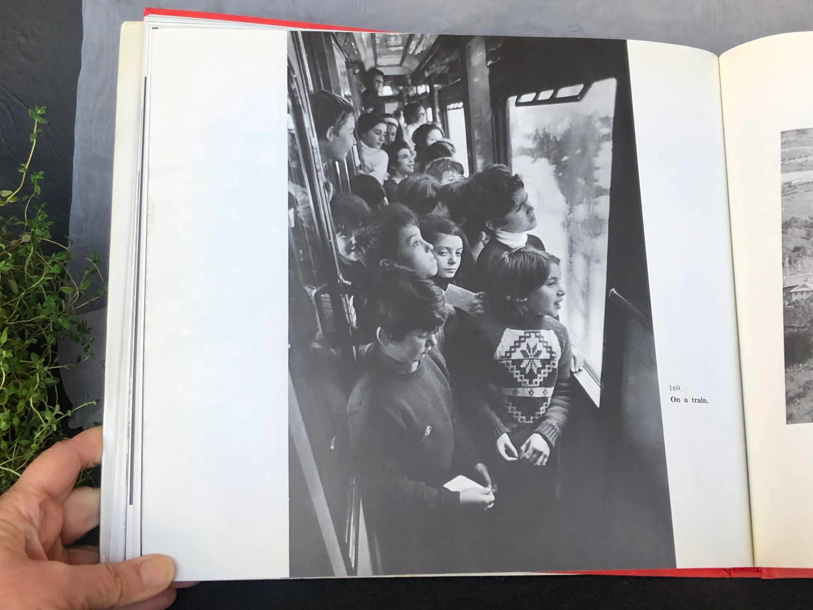 Vintage Photography Coffee Table Book - 5