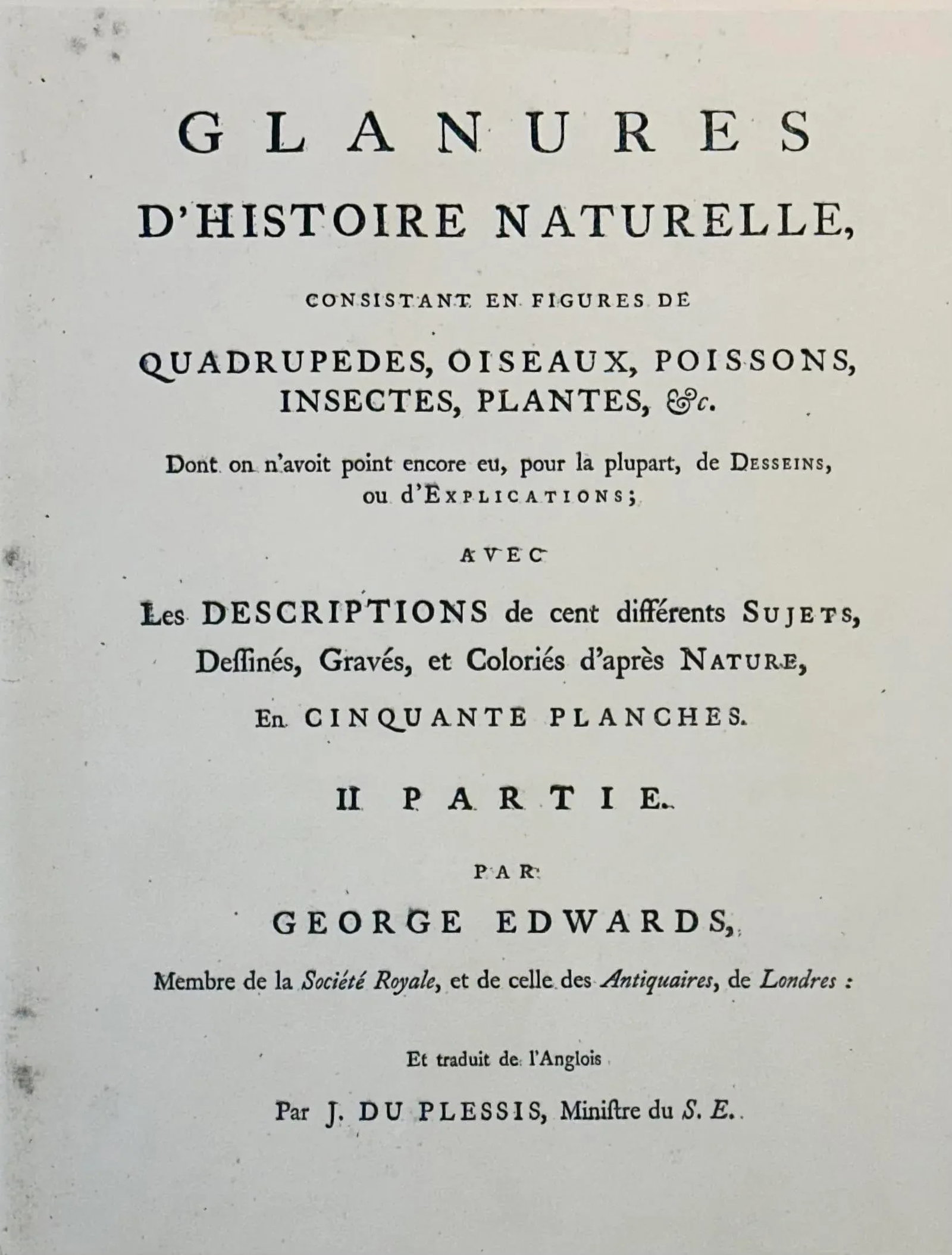 Brown Spotted Heathcock by George Edwards, 1740 - 4