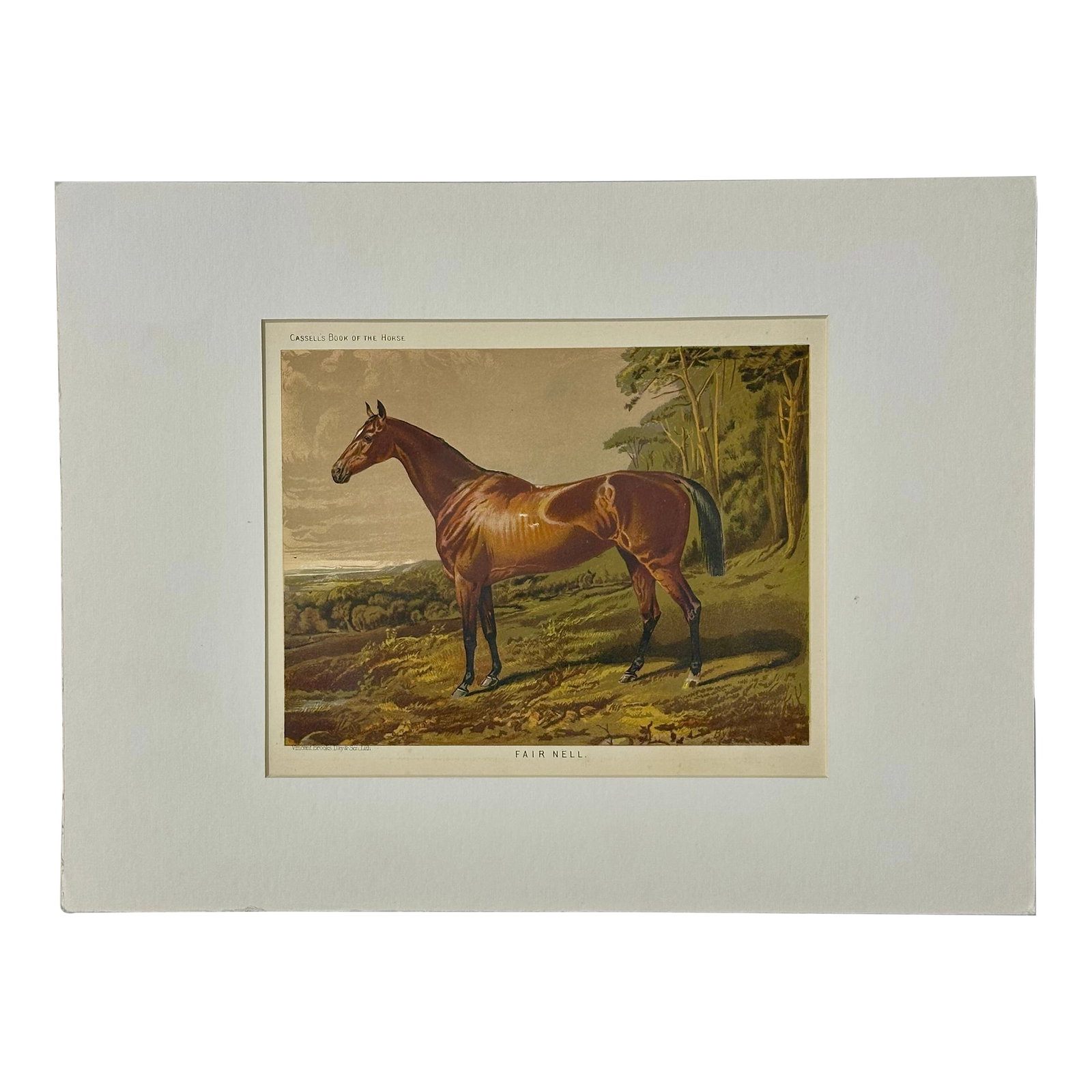 Fair Nell Horse Landscape Print by Cassell, 1885: Original Chromolithograph by Cassell, London, 1885. From The Book of the Horse by S. Sidney published by Cassell, Petter, Galpin. Dimensions: 12 x 16" Please note: If you purchase multiple items,