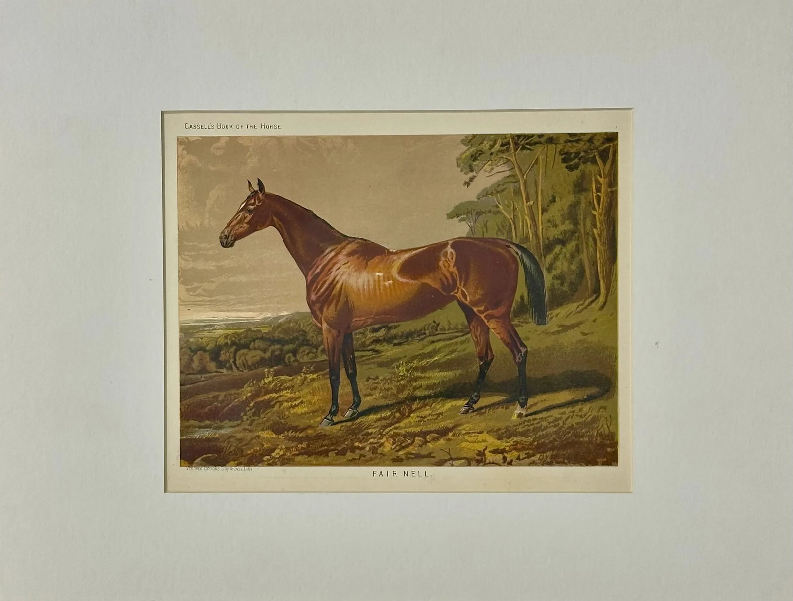 Fair Nell Horse Landscape Print by Cassell, 1885 - 3
