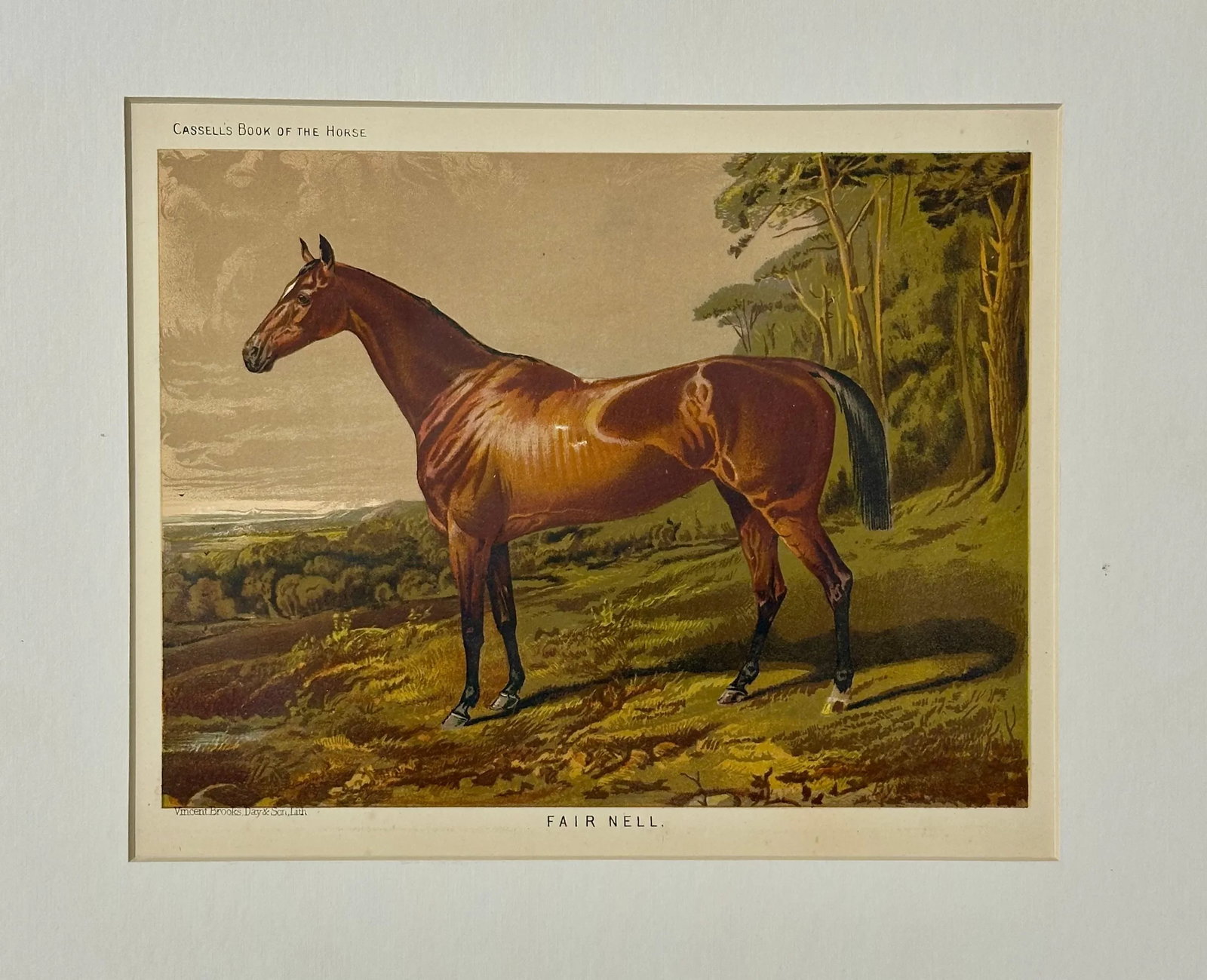 Fair Nell Horse Landscape Print by Cassell, 1885 - 4