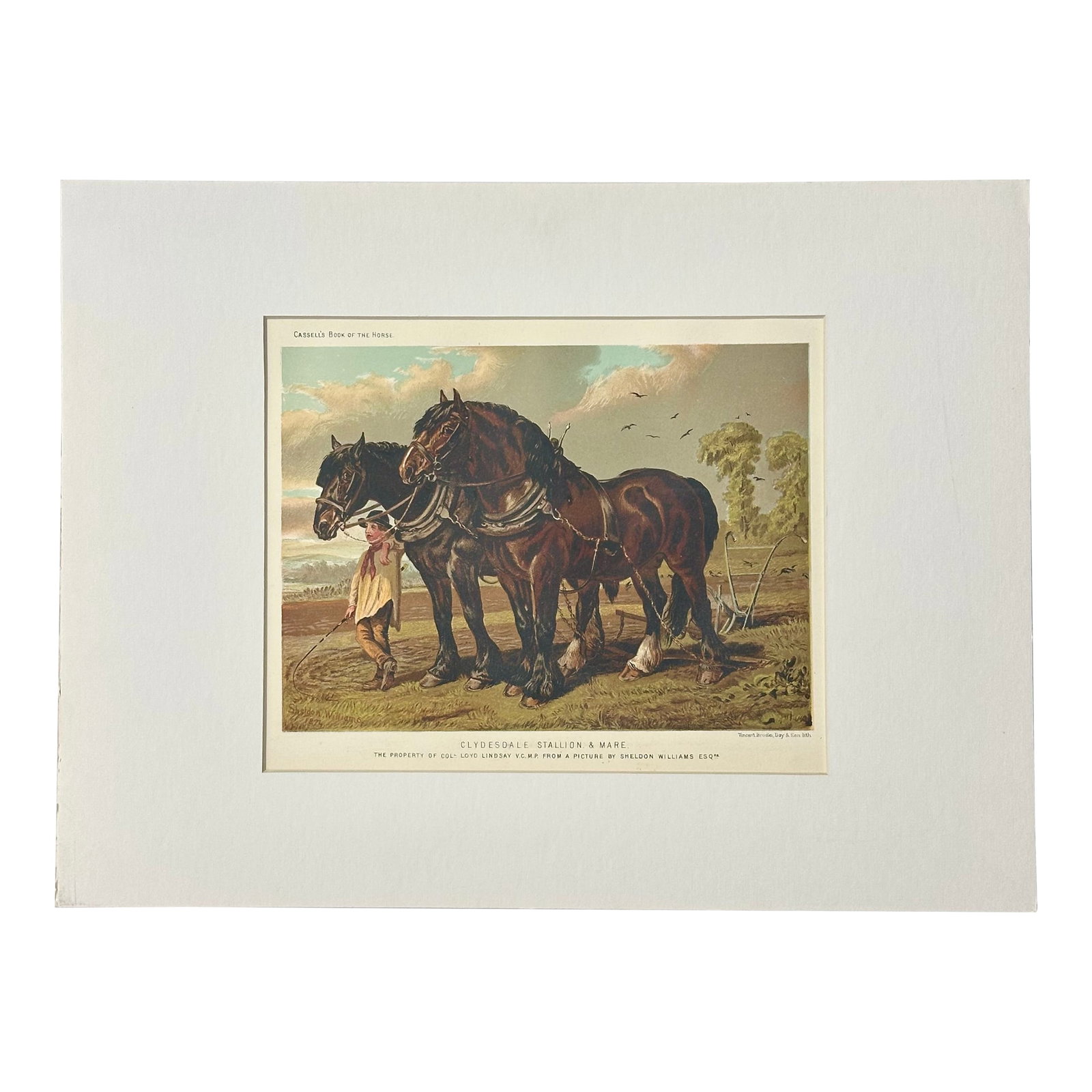 Clydesdale Stallion & Mare Horse Landscape Print by Cassell, 1885: Original Chromolithograph by Cassell, London, 1885. From The Book of the Horse by S. Sidney, published by Cassell, Petter, Galpin Co. Dimensions: 12 x 16" Please note: If you purchase multiple items,