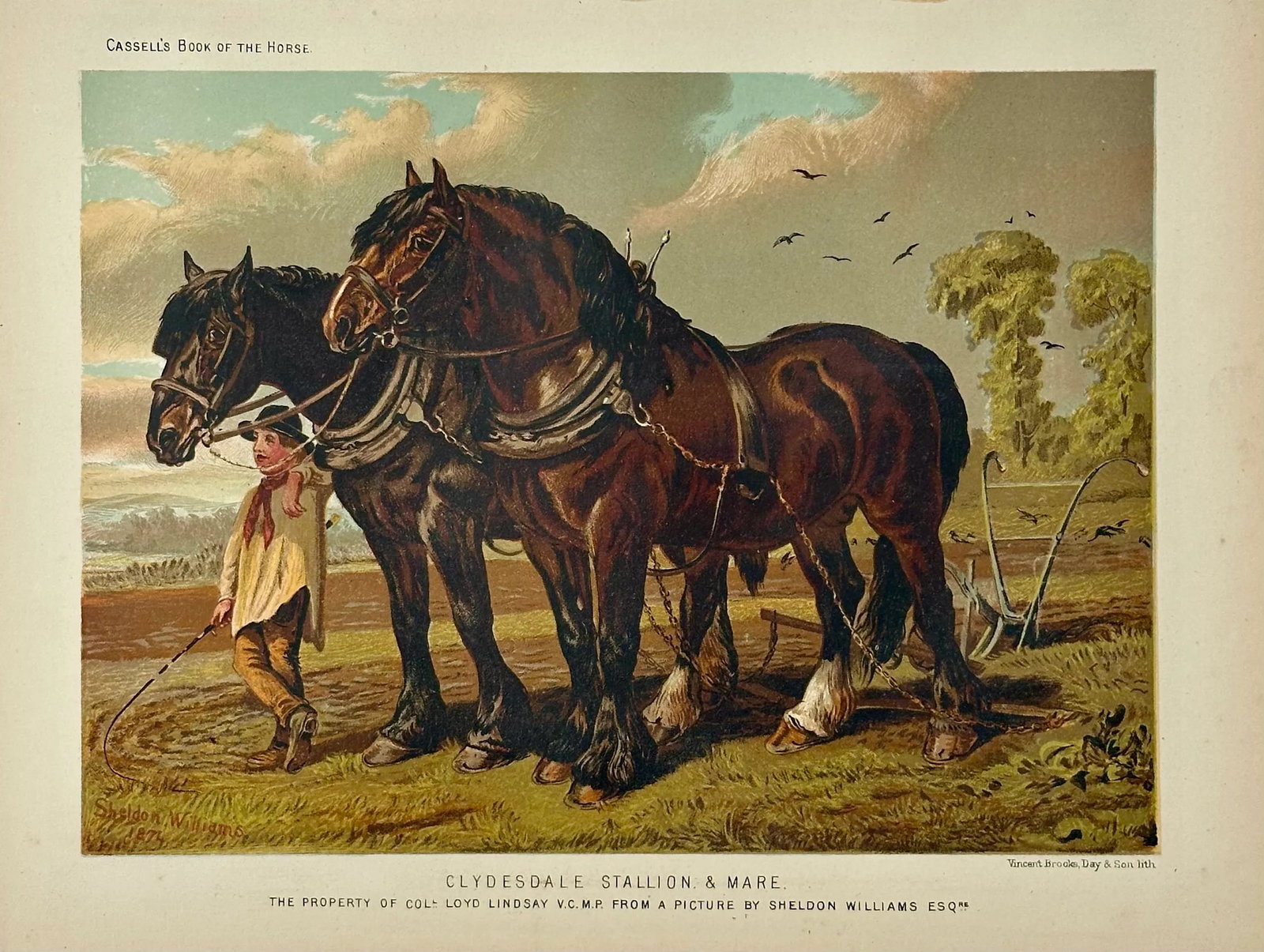 Clydesdale Stallion & Mare Horse Landscape Print by Cassell, 1885 - 2