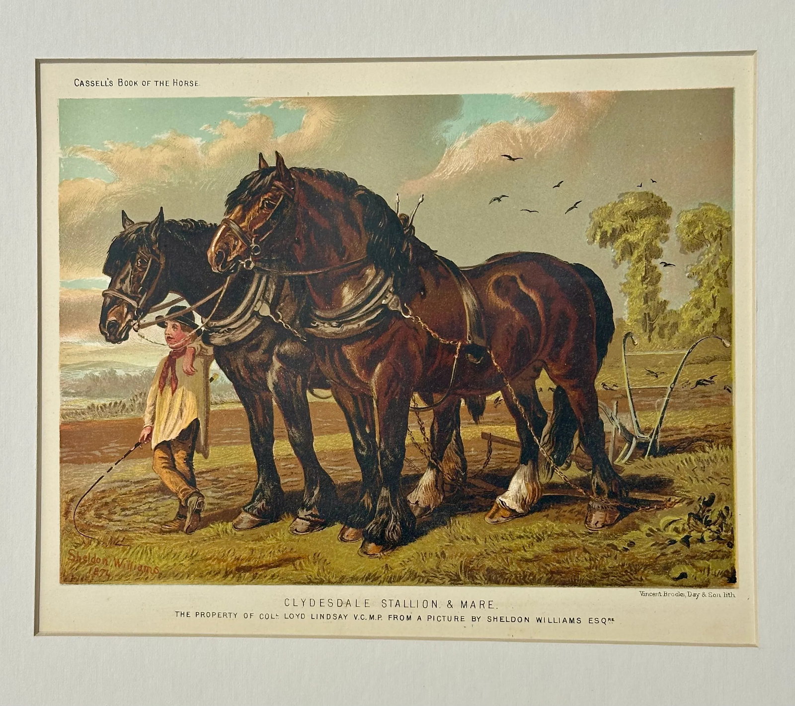 Clydesdale Stallion & Mare Horse Landscape Print by Cassell, 1885 - 3