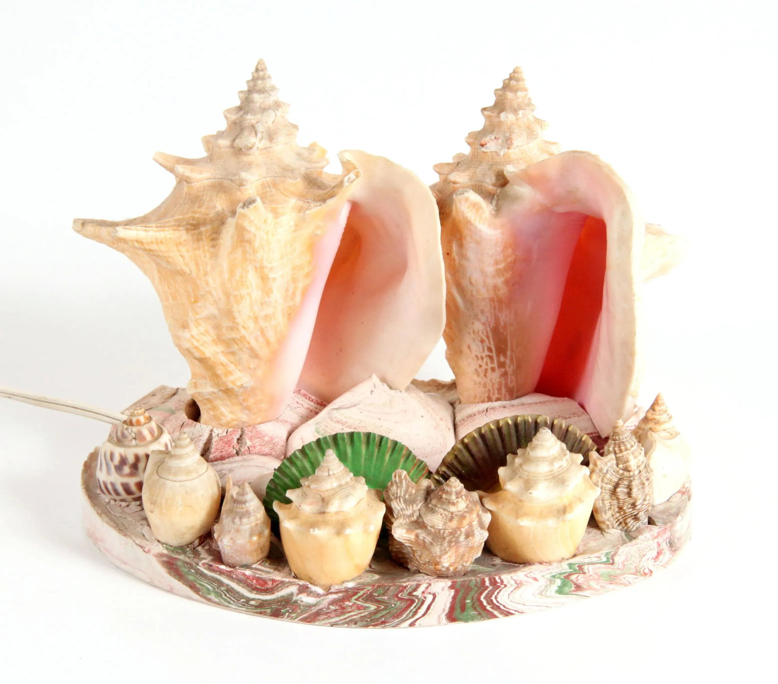 Vintage 1970's Nautical Double Conch Shell Lamp - 3