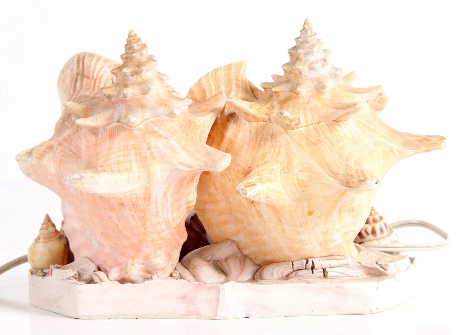 Vintage 1970's Nautical Double Conch Shell Lamp - 5