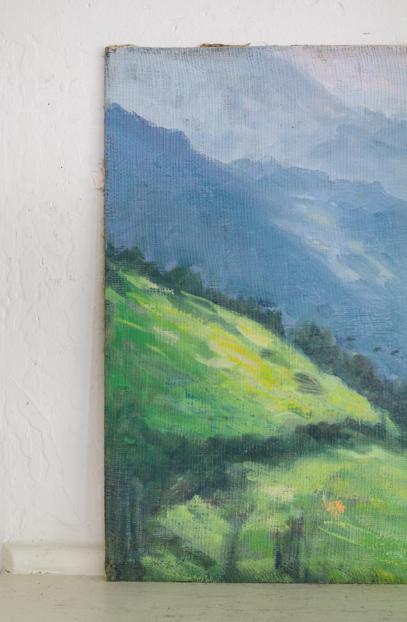 Unsigned Hills and Mountains Landscape Painting on Cheesecloth and Masonite - 6