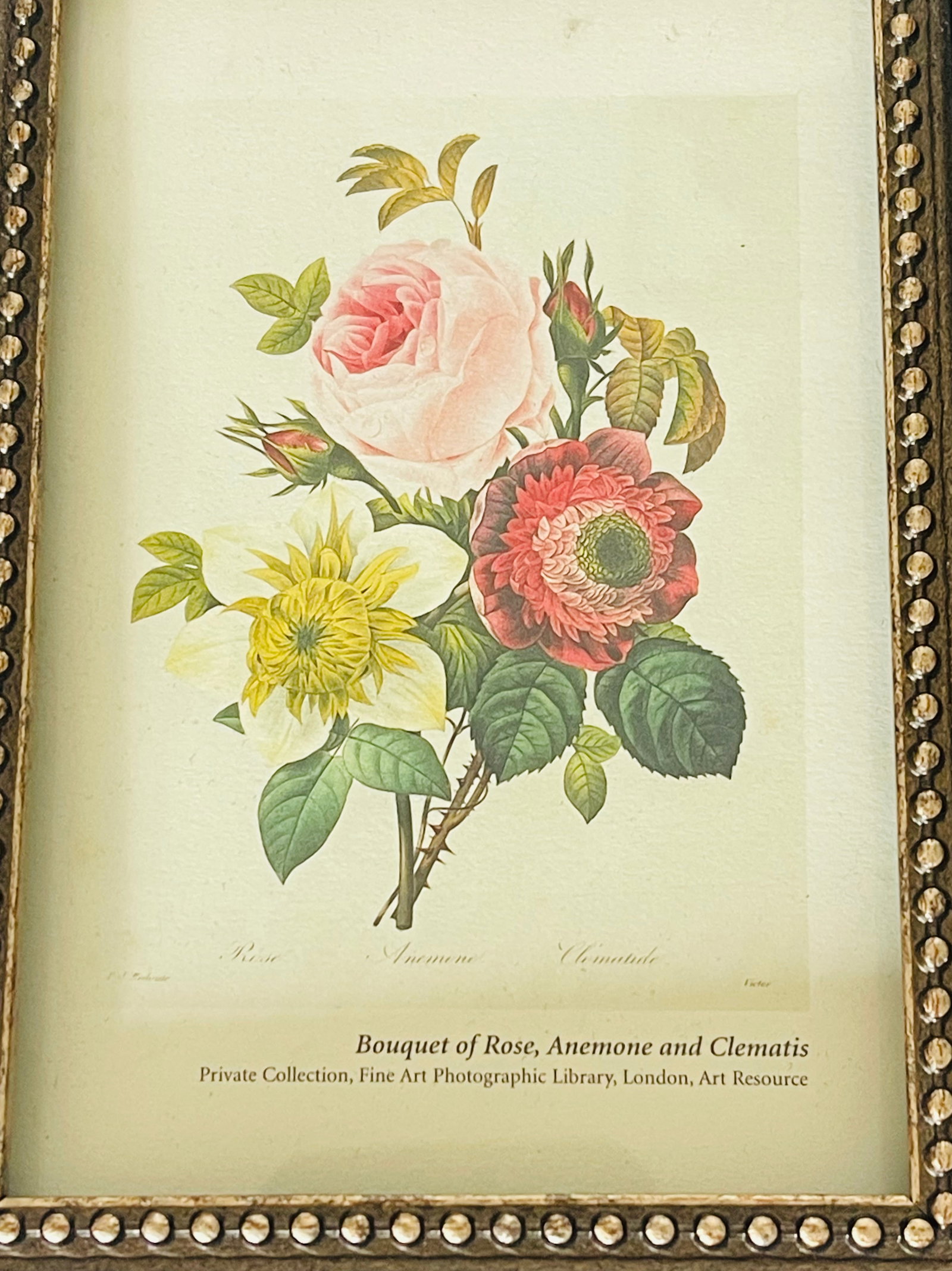 1970s O.J.Redoute Small Chromolithograph Botanical Floral Framed Reproduction - 2