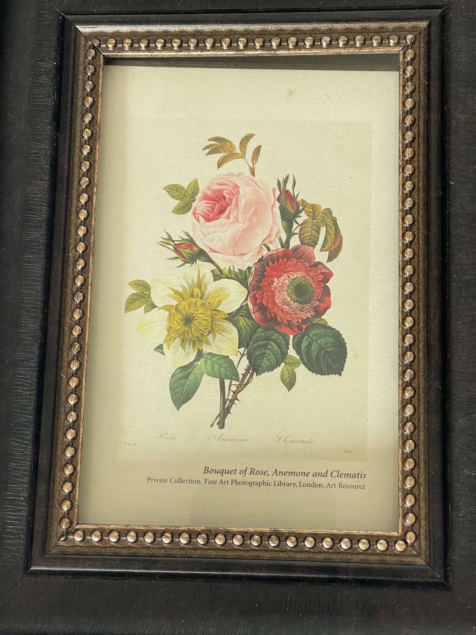 1970s O.J.Redoute Small Chromolithograph Botanical Floral Framed Reproduction - 3
