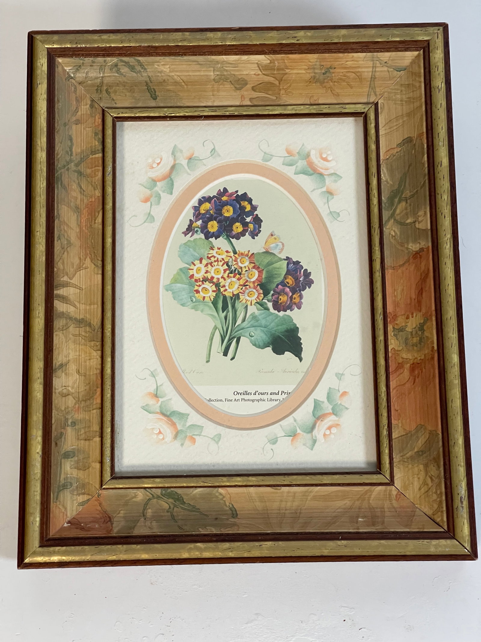 1970s Small Vintage Botanical Primula Chromolithograph in Handpainted Frame - 2