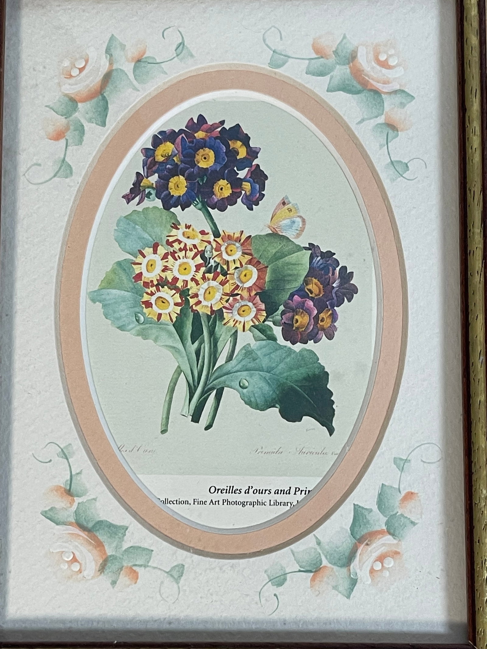 1970s Small Vintage Botanical Primula Chromolithograph in Handpainted Frame - 4