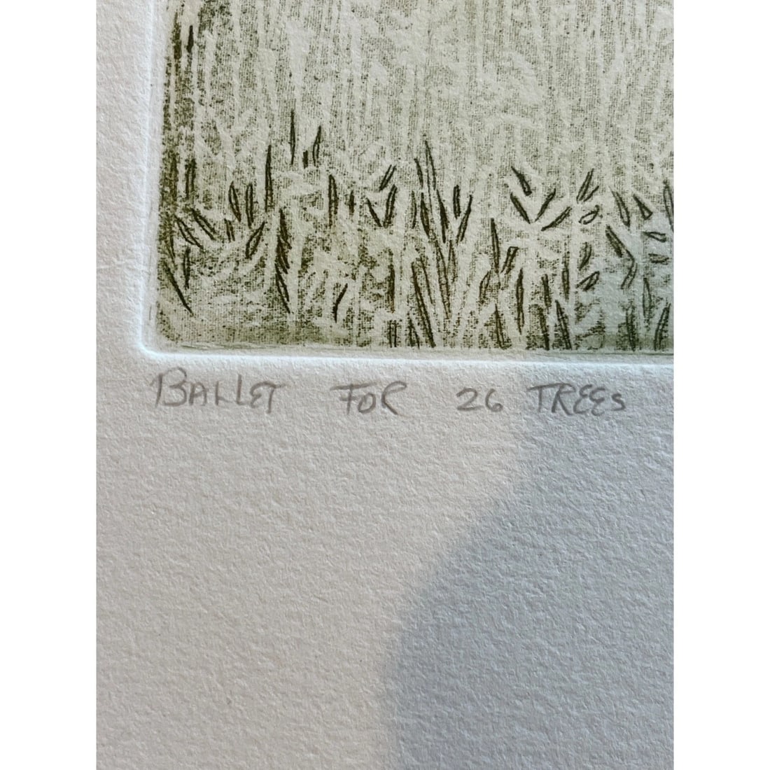 1970s Ruth Leaf Signed Etching "Ballet for 26 Trees" 29x22 Ltd Ed 13/200 BFK Rives Art - 10