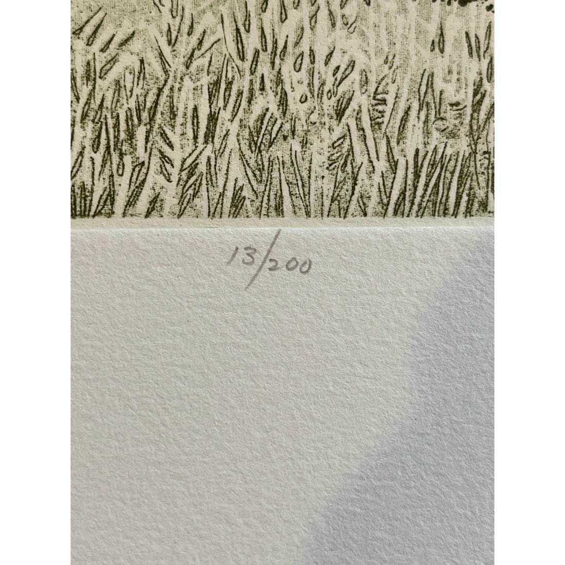 1970s Ruth Leaf Signed Etching "Ballet for 26 Trees" 29x22 Ltd Ed 13/200 BFK Rives Art - 11