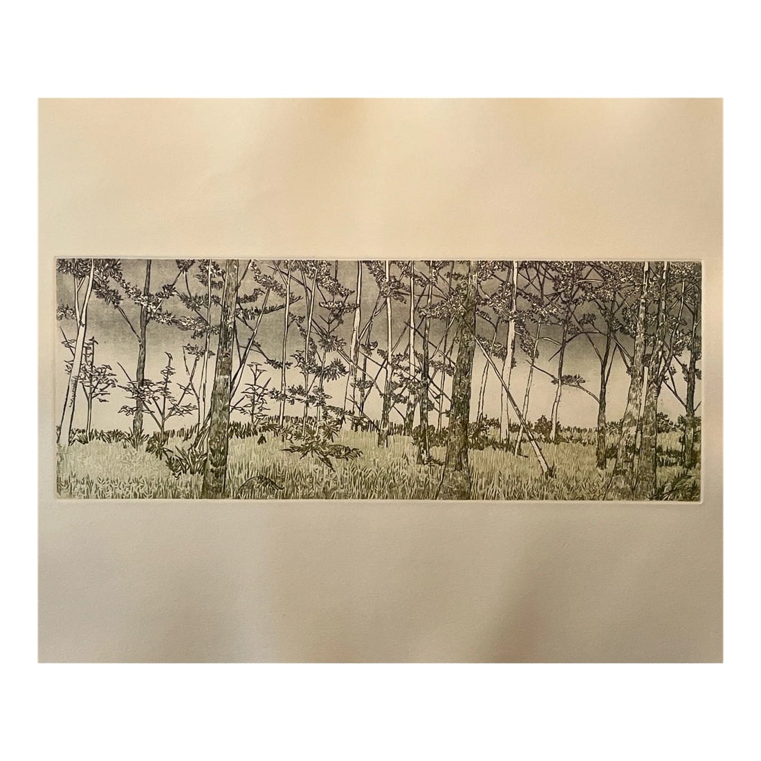 1970s Ruth Leaf Signed Etching "Ballet for 26 Trees" 29x22 Ltd Ed 13/200 BFK Rives Art: Up for auction is a magnificent large-scale original etching and aquatint titled "Ballet for 26 Trees" by acclaimed American printmaker Ruth Leaf (1923aEUR"2015). This rare, high-quality impression