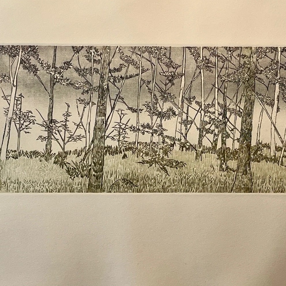 1970s Ruth Leaf Signed Etching "Ballet for 26 Trees" 29x22 Ltd Ed 13/200 BFK Rives Art - 2