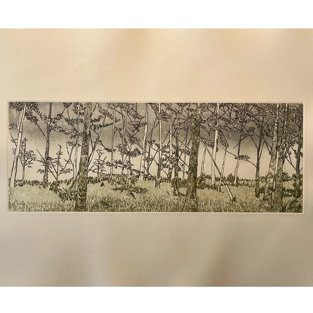 1970s Ruth Leaf Signed Etching "Ballet for 26 Trees" 29x22 Ltd Ed 13/200 BFK Rives Art - 4