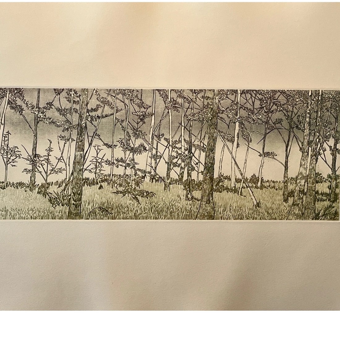 1970s Ruth Leaf Signed Etching "Ballet for 26 Trees" 29x22 Ltd Ed 13/200 BFK Rives Art - 5
