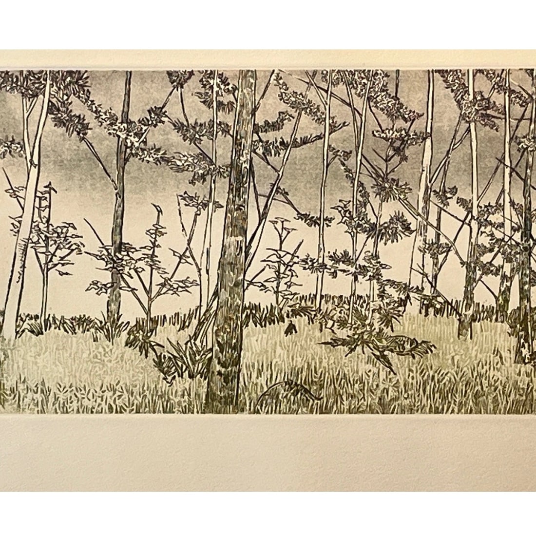 1970s Ruth Leaf Signed Etching "Ballet for 26 Trees" 29x22 Ltd Ed 13/200 BFK Rives Art - 6