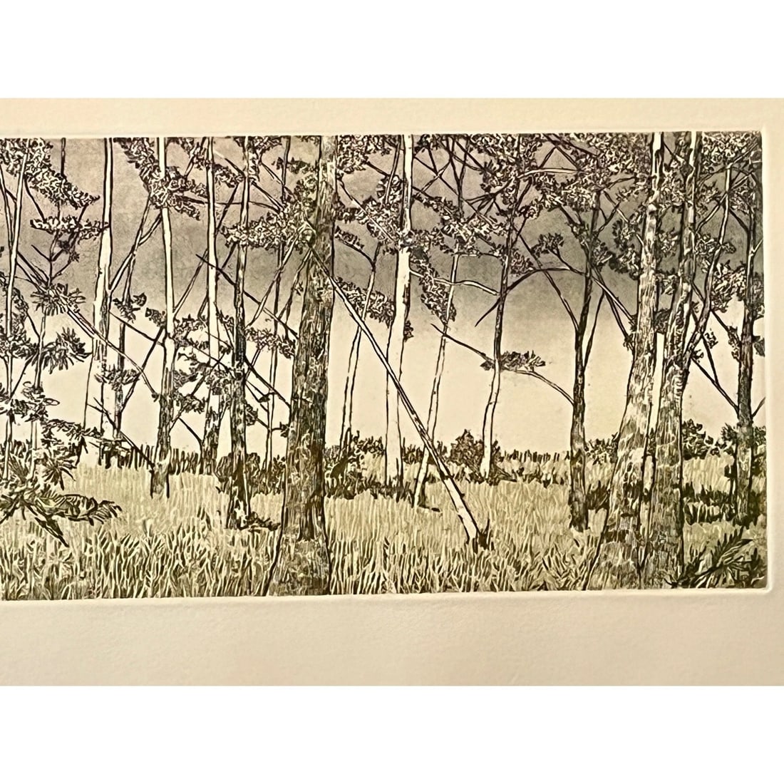 1970s Ruth Leaf Signed Etching "Ballet for 26 Trees" 29x22 Ltd Ed 13/200 BFK Rives Art - 7