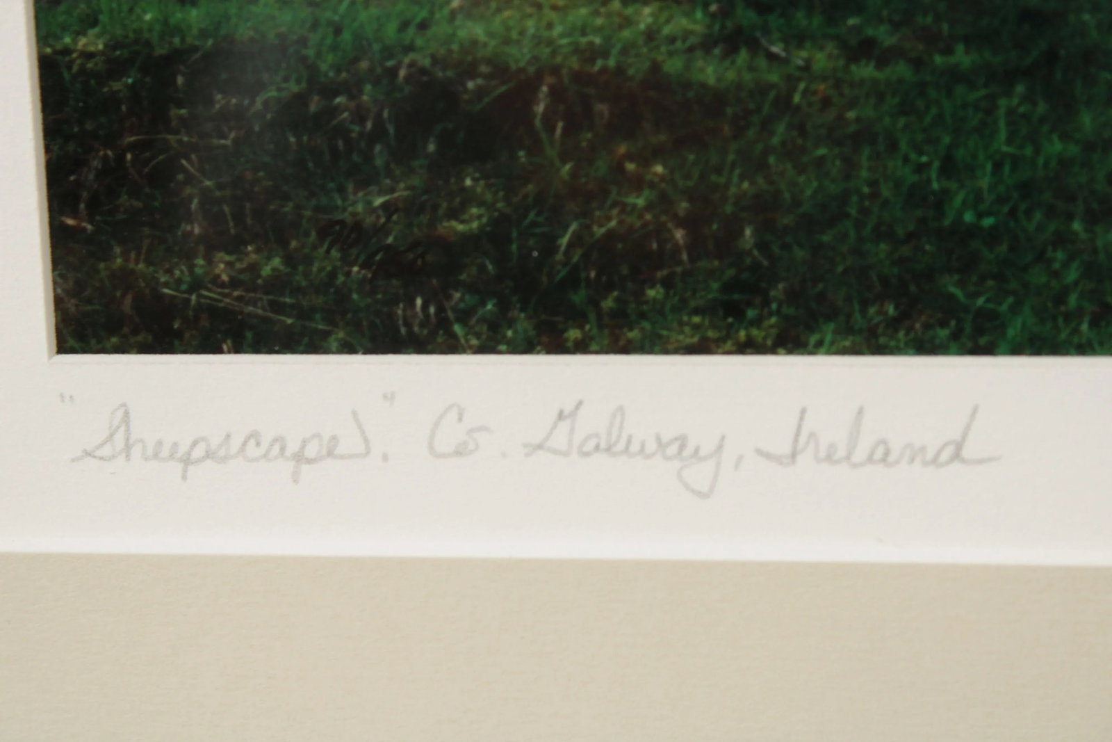 1990s "Sheepscape" Ireland Landscape Photography Print by John & Debra Scanlan - 11