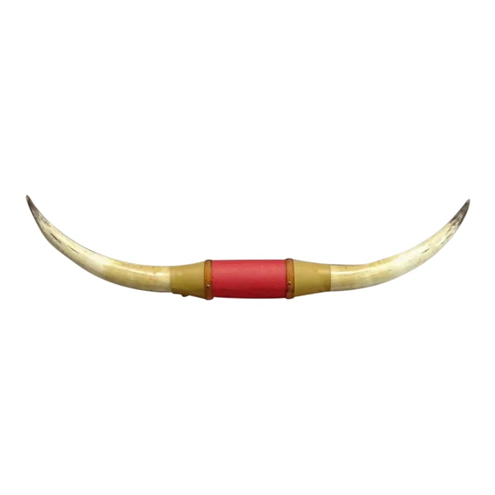 1980s Large Mounted Steer Horns With Red Leather: Perfect for your long white Cadillac convertible or above a pair of French doors. If you want an accent piece with a lot of impact this is it Condition: Alterations: Original Condition Unaltered