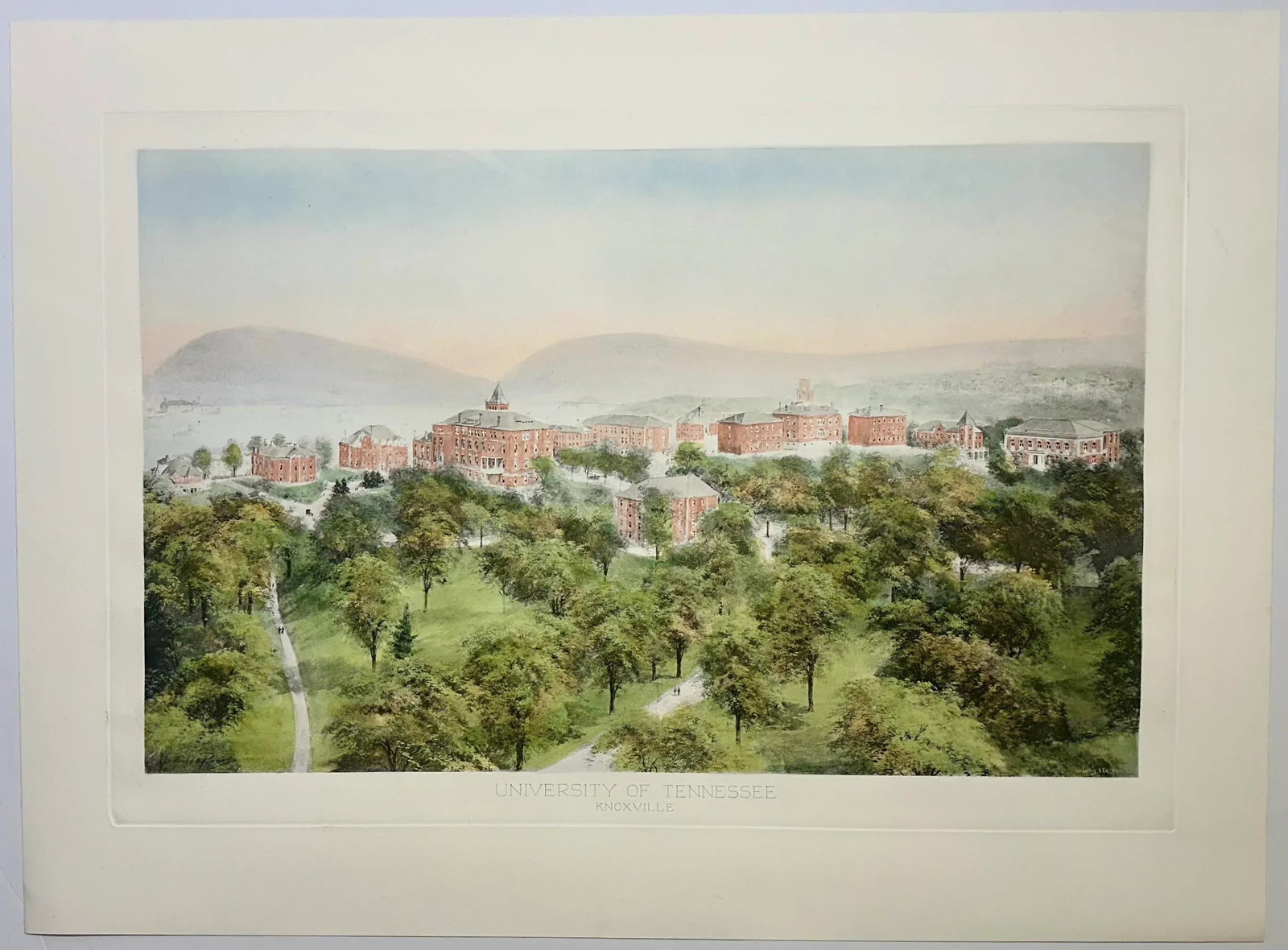 University of Tennessee Print - 2