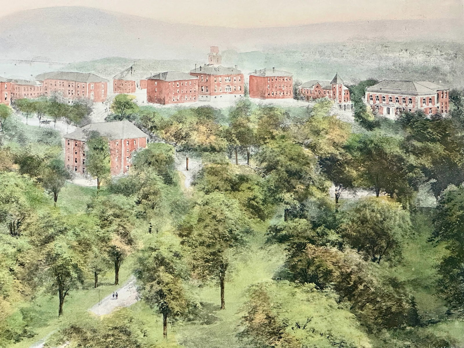University of Tennessee Print - 5