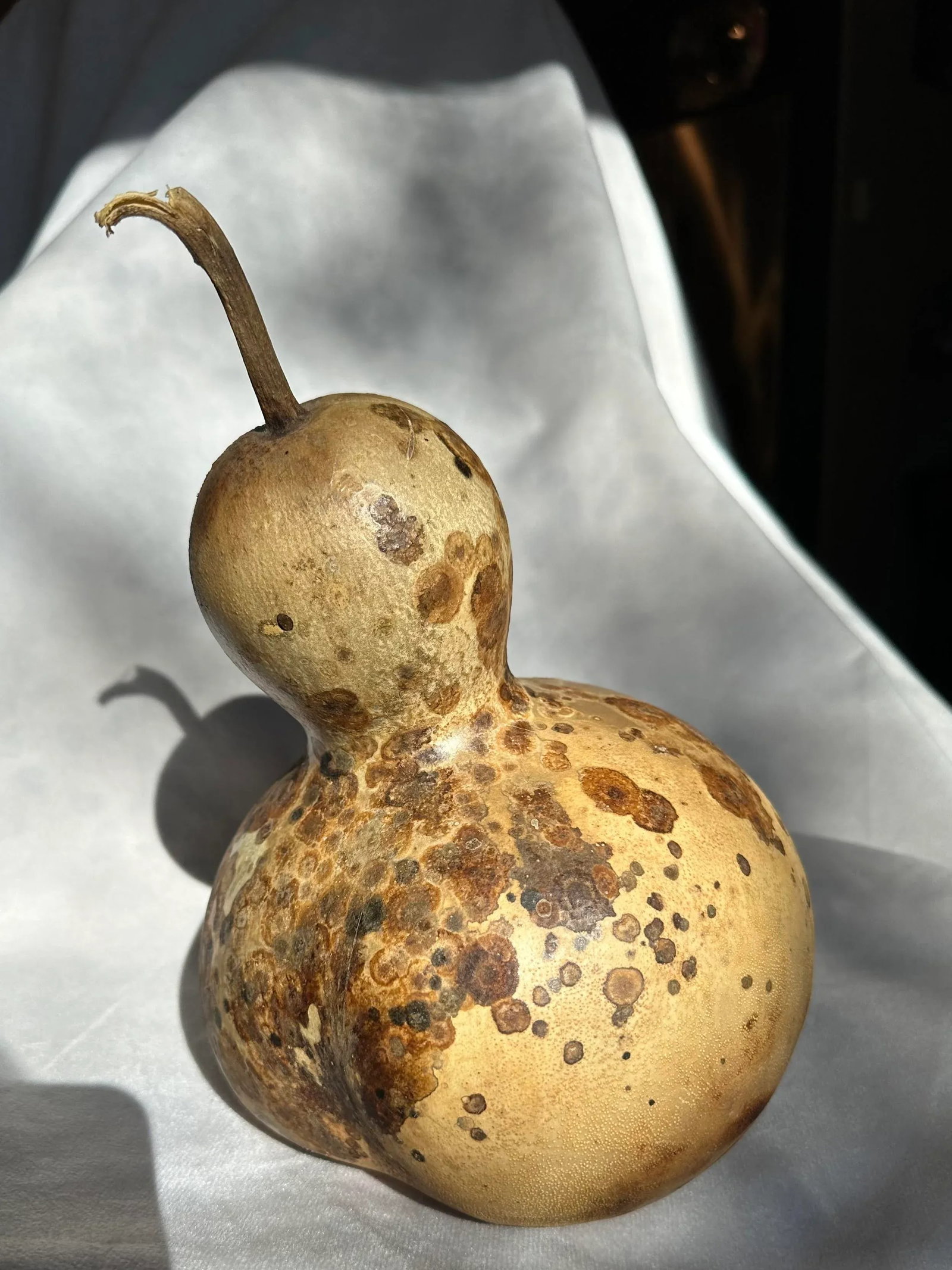 Vintage Aged Hollow Natural Gourds Decorative or Bird Houses - Set of 4 - 11