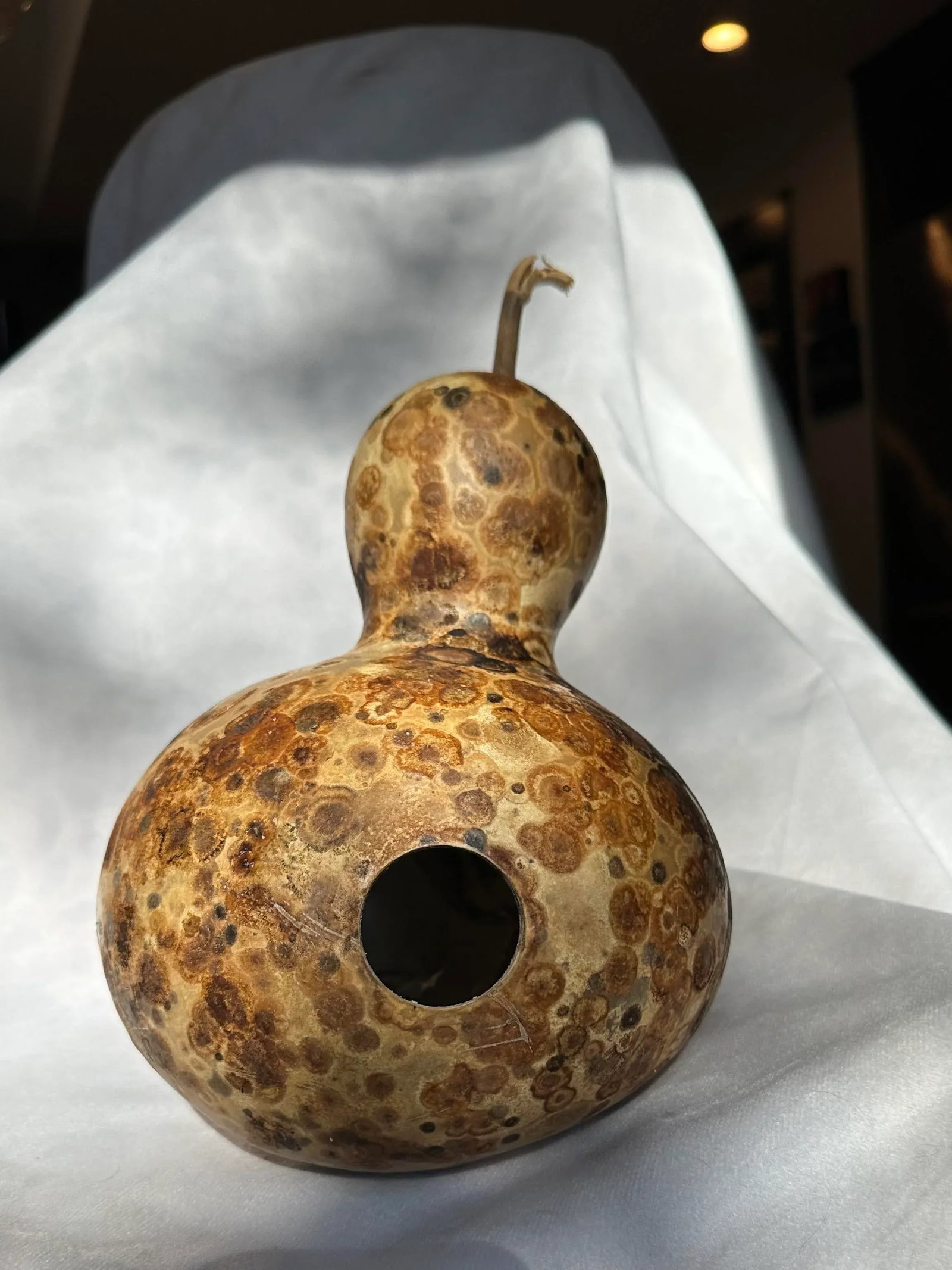 Vintage Aged Hollow Natural Gourds Decorative or Bird Houses - Set of 4 - 12