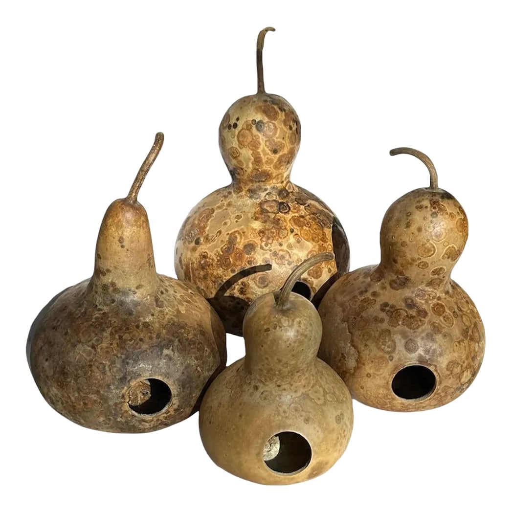 Vintage Aged Hollow Natural Gourds Decorative or Bird Houses - Set of 4: Handcrafted gourds that have been dried-functional art and decor. They are hollow, hard-walled with a hole as a functional bird house or natural decor. Excellent organic design for front entry