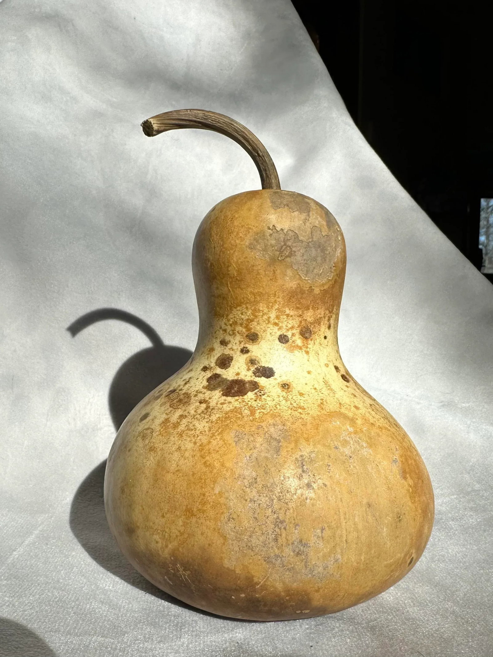 Vintage Aged Hollow Natural Gourds Decorative or Bird Houses - Set of 4 - 2