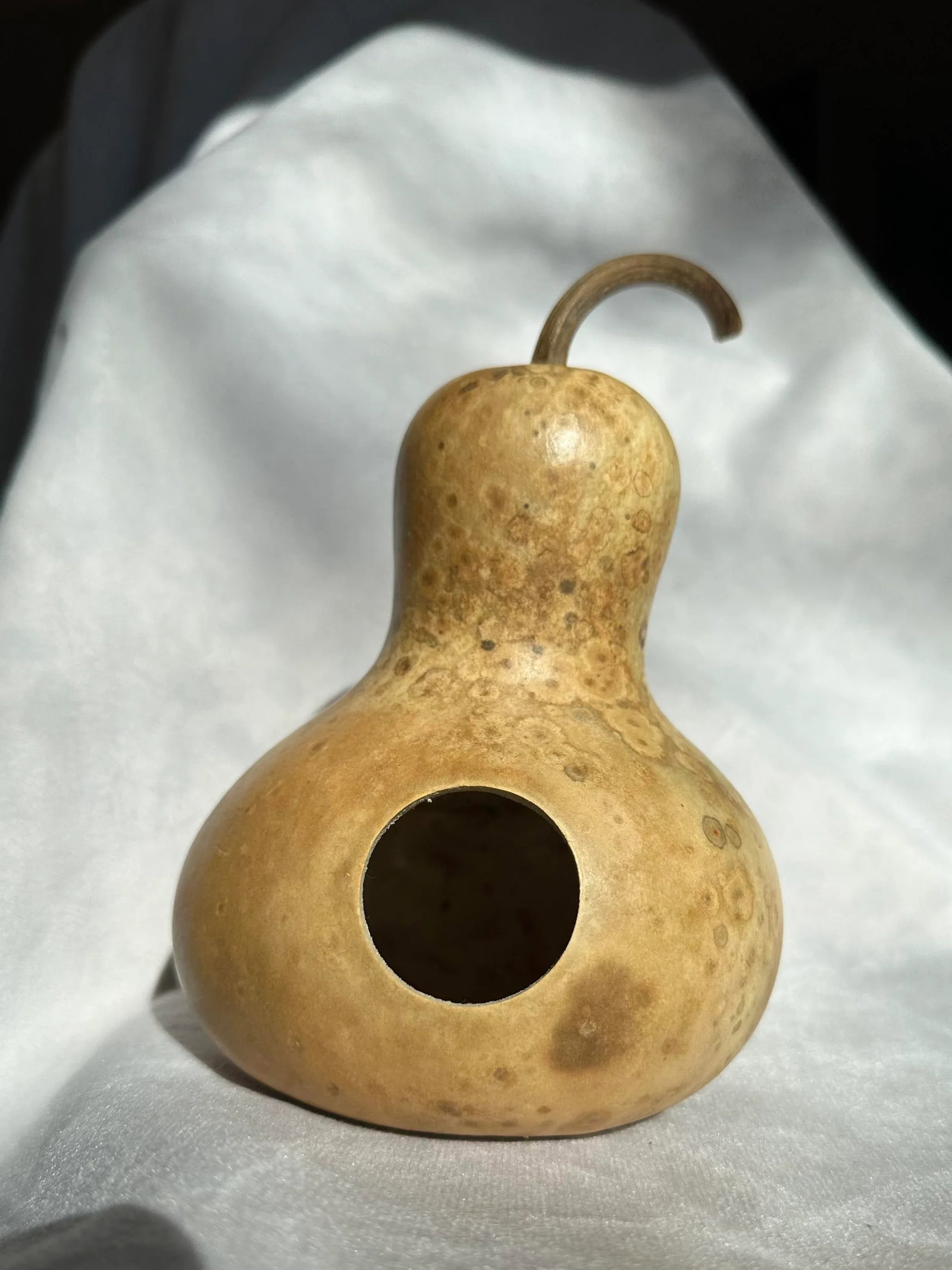 Vintage Aged Hollow Natural Gourds Decorative or Bird Houses - Set of 4 - 3