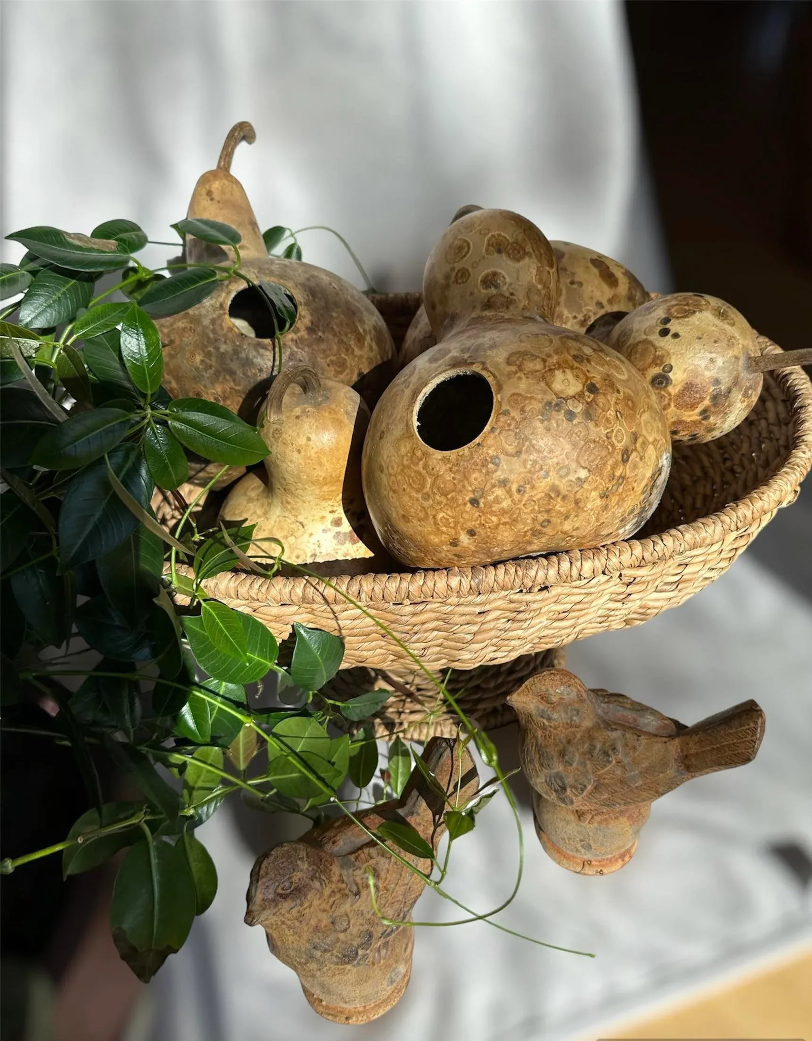 Vintage Aged Hollow Natural Gourds Decorative or Bird Houses - Set of 4 - 4