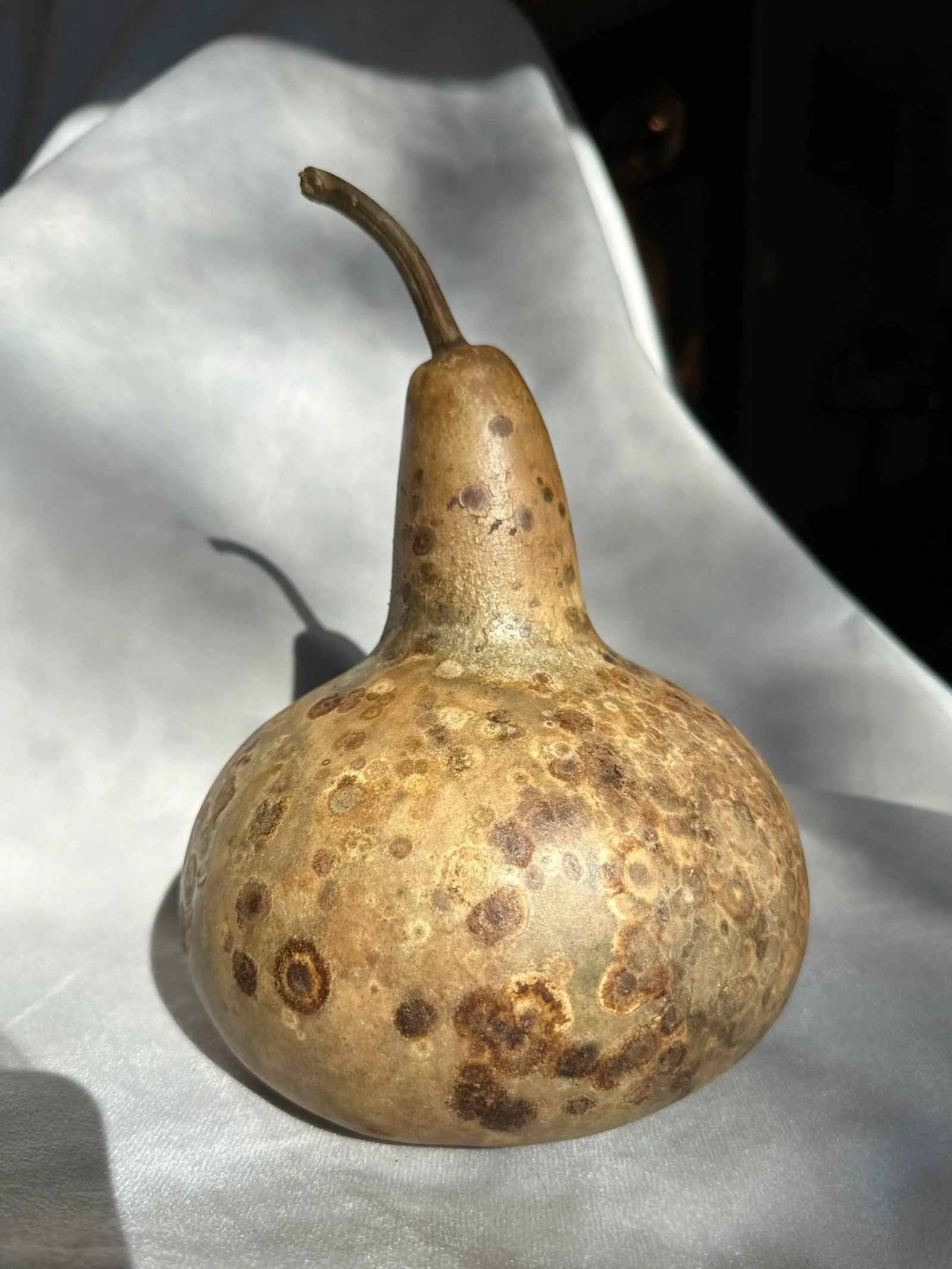Vintage Aged Hollow Natural Gourds Decorative or Bird Houses - Set of 4 - 6
