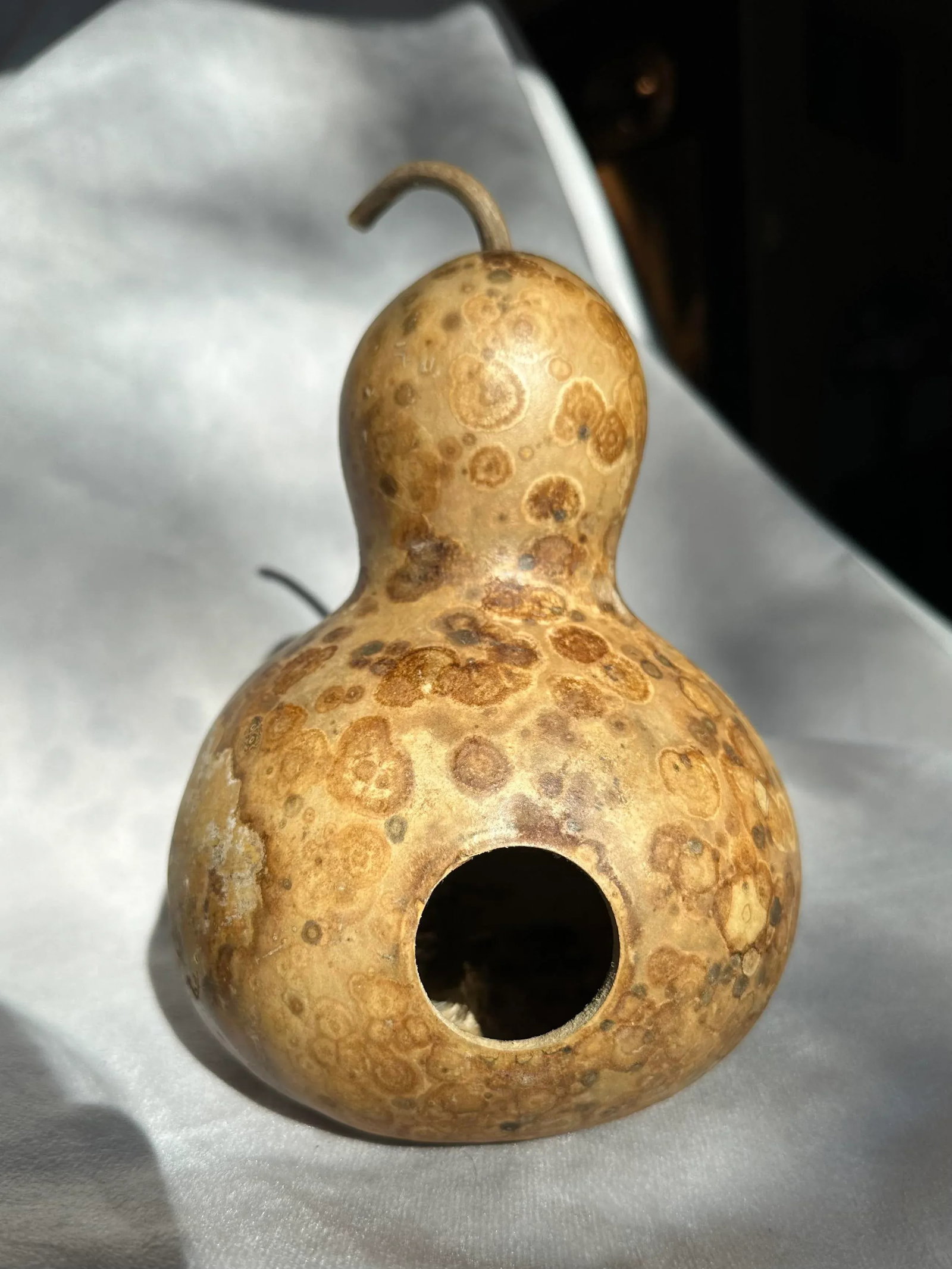 Vintage Aged Hollow Natural Gourds Decorative or Bird Houses - Set of 4 - 8