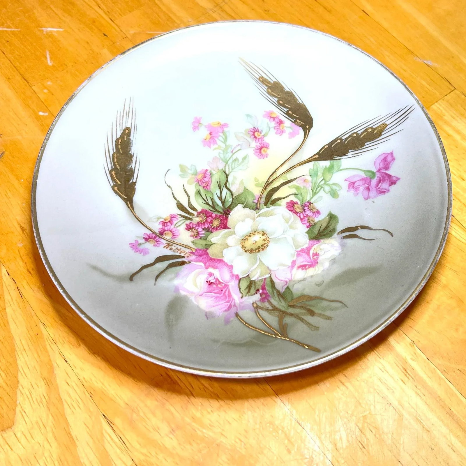 Set of 5 Antique M Z Austria Hand Painted Dessert Plates - 2