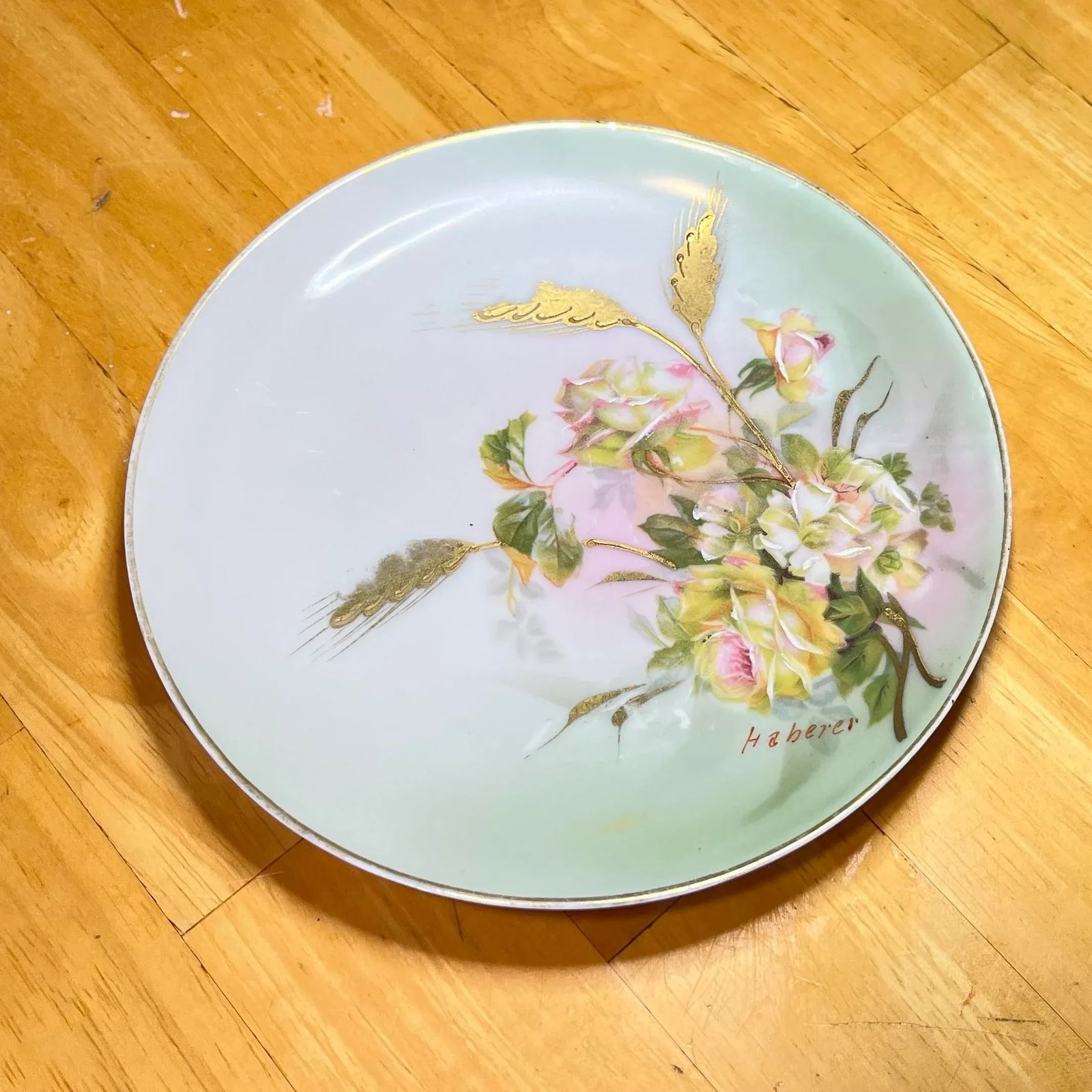 Set of 5 Antique M Z Austria Hand Painted Dessert Plates - 3