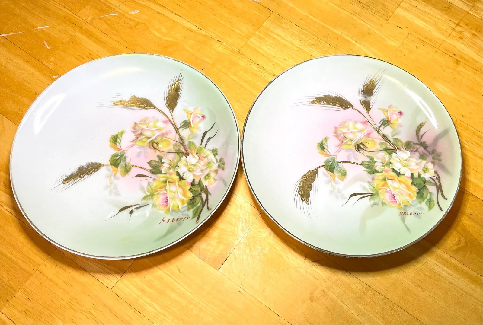 Set of 5 Antique M Z Austria Hand Painted Dessert Plates - 4