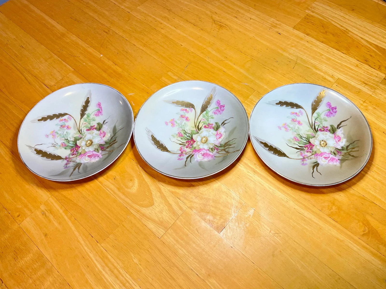 Set of 5 Antique M Z Austria Hand Painted Dessert Plates - 5