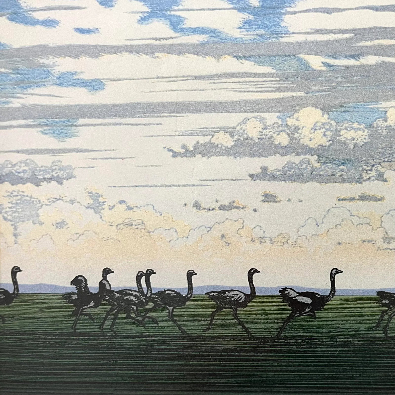 "Running Ostrich" Japanese Woodblock Print by Yoshida Toshi Circa 1984 - 2