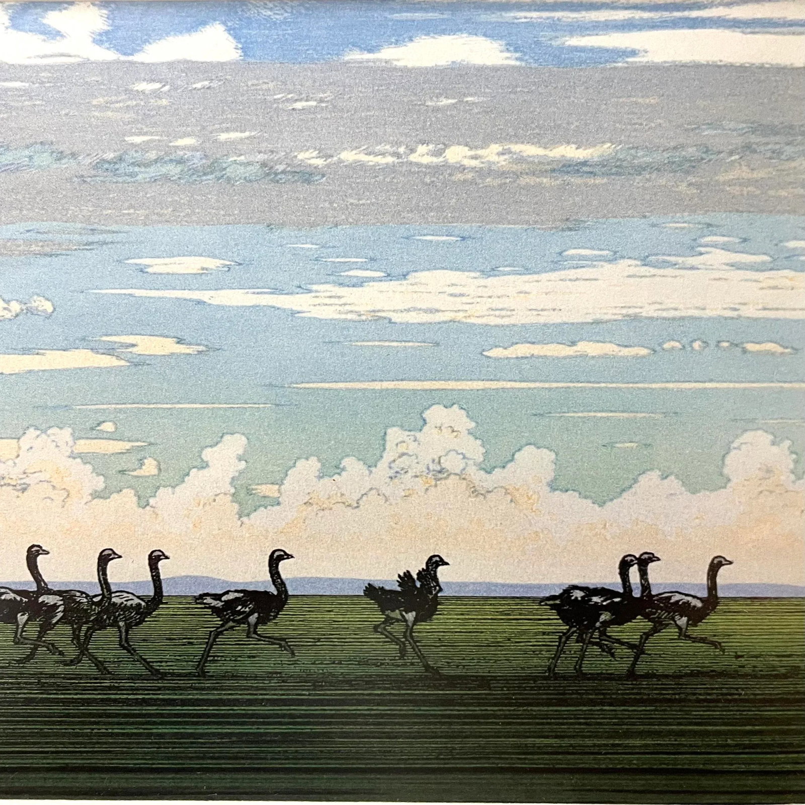 "Running Ostrich" Japanese Woodblock Print by Yoshida Toshi Circa 1984 - 4