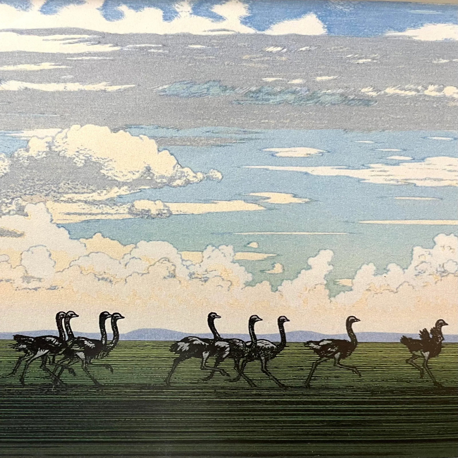 "Running Ostrich" Japanese Woodblock Print by Yoshida Toshi Circa 1984 - 5