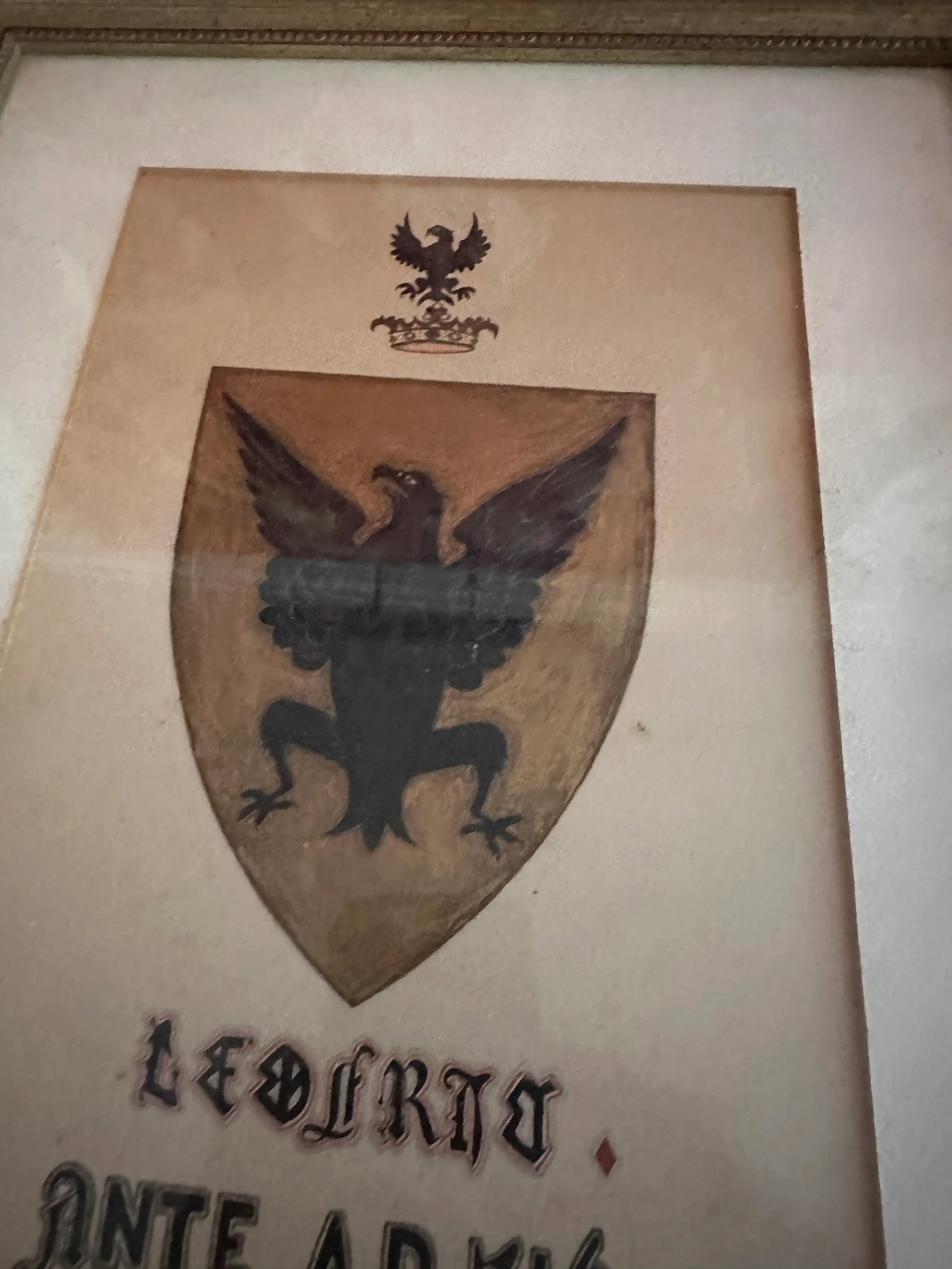 Framed Aristocratic Family Crest Leofric Mercia With Black Eagle and Gold Shield - 3